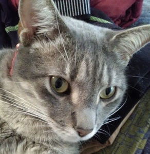 Meet your Posher, Sandra